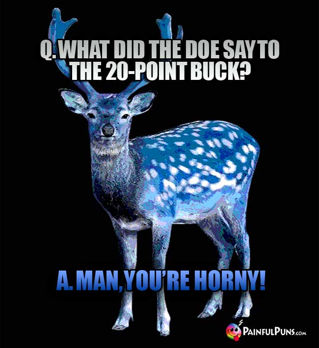 Q. what did the doe say to the 20-point buck? A. Man, you're horny!