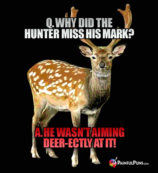 Q. Why did the hunter miss his mark? A. He wasn't aiming deer-ectly at it!