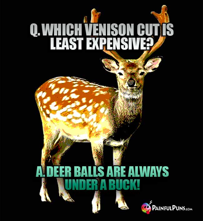 Q. Which venison cut is least expensive? A. Deer balls are always under a buck!