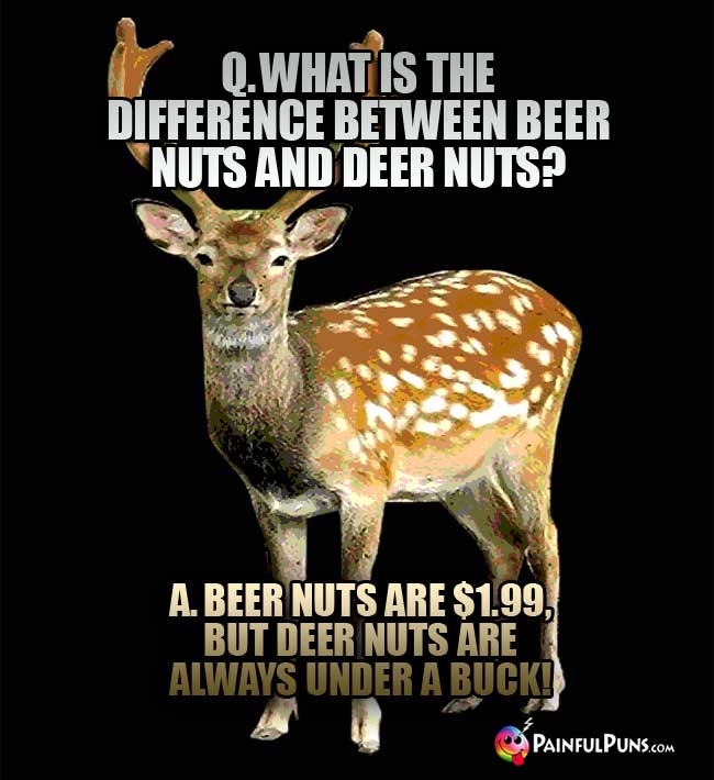Q. What is the difference between beer nuts and deer nuts? A. Beer nuts are $1.99, but deer nuts are always under a buck!