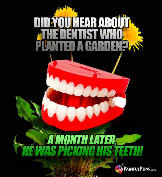 Did you hear about the dentist who planted a garden? A month later, he was picking his teeth!