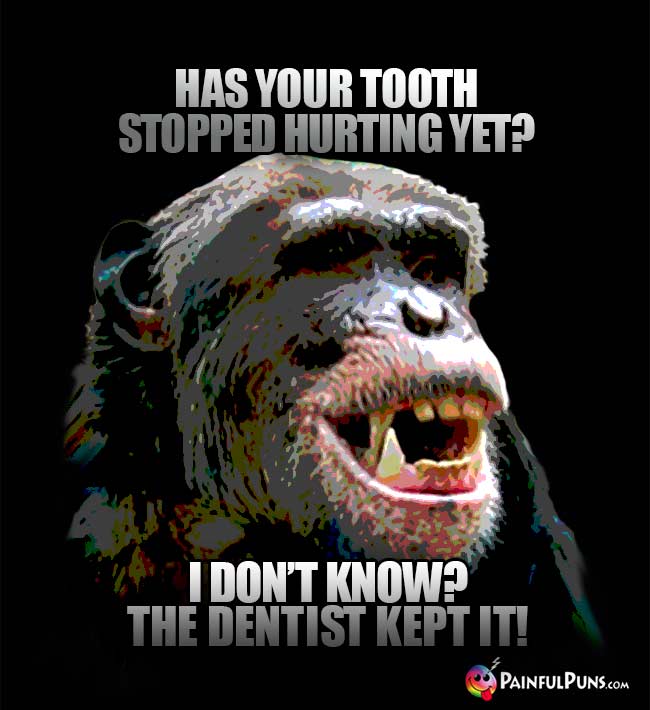Has your tooth stopped hurting yet? I don't know? The dentist kept it!