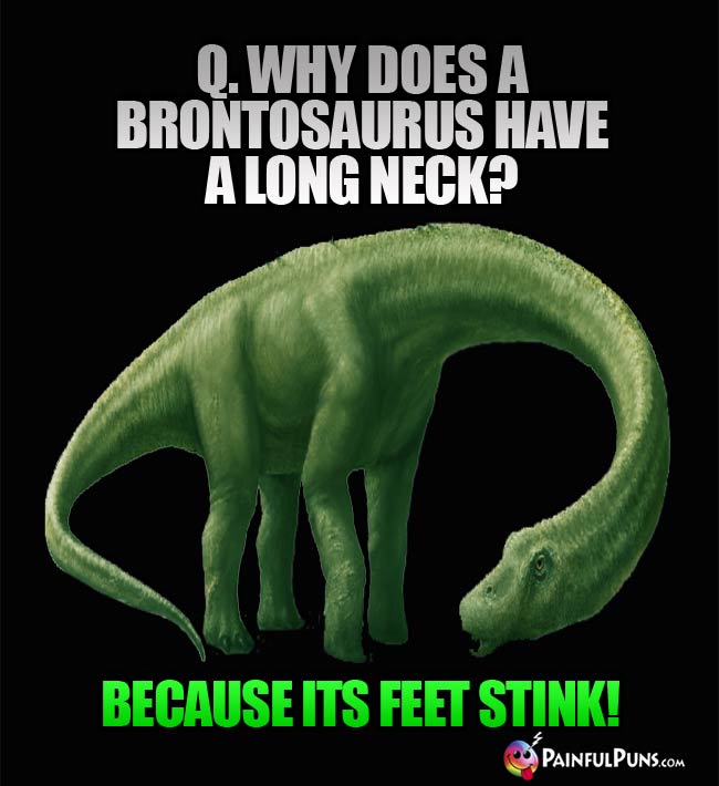 Q. Why does a Brontosaurus have a long neck? A. because its feet stink!