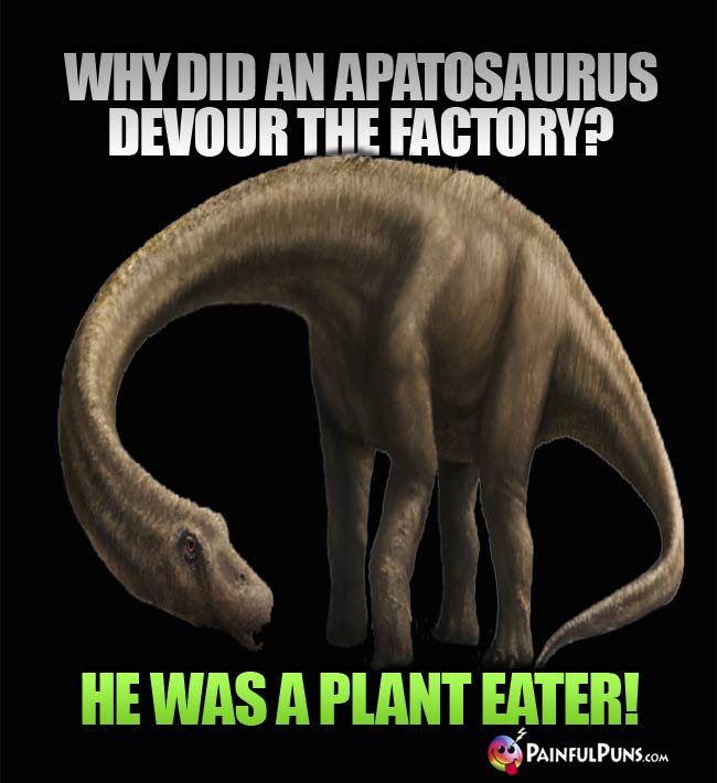 Q. Why did an apatusaurus devour the fatory? A. He was a plant eater!