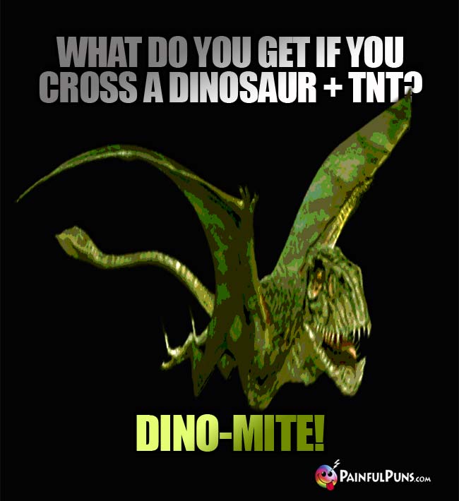 Q. What do you get if you cross a dinosaur and TNT? A. Dino-Mite!