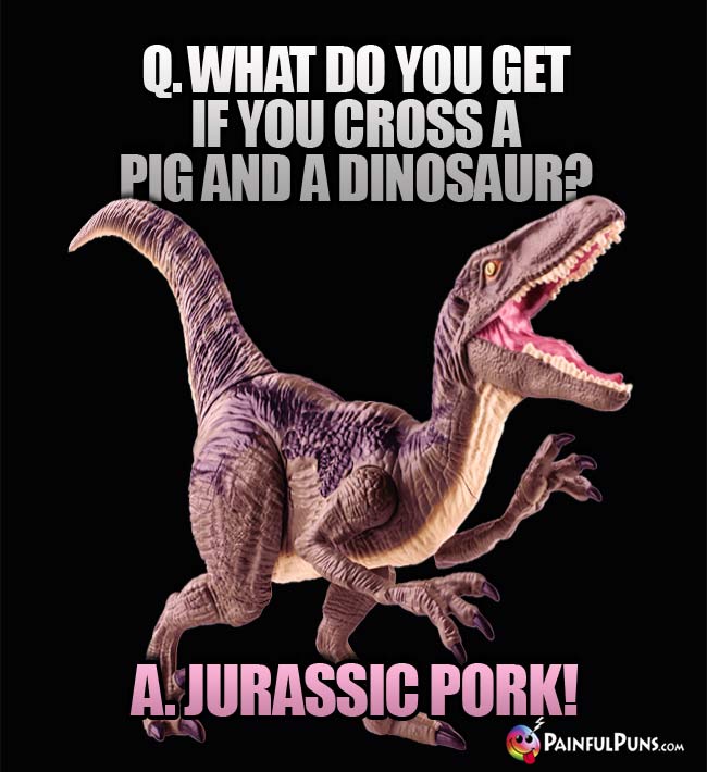 q. What do you get if you cross a pig and a dinosaur? A. Jurassic Pork!