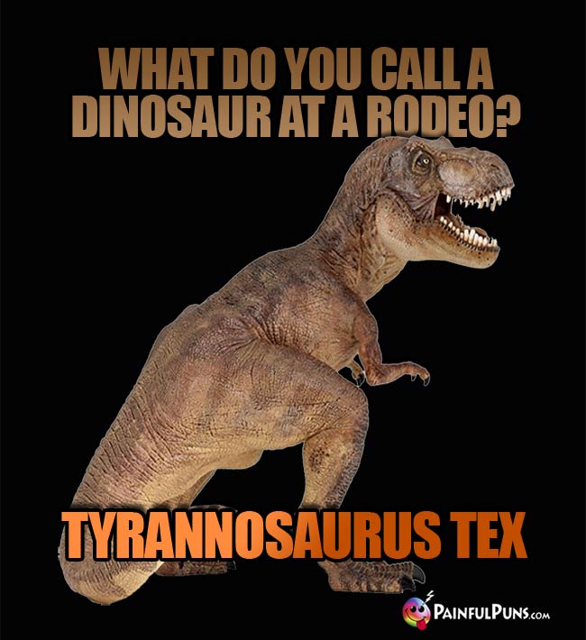 q. What do you call a dinosaur at a rodeo? A. Tyrannosaurus Tex.