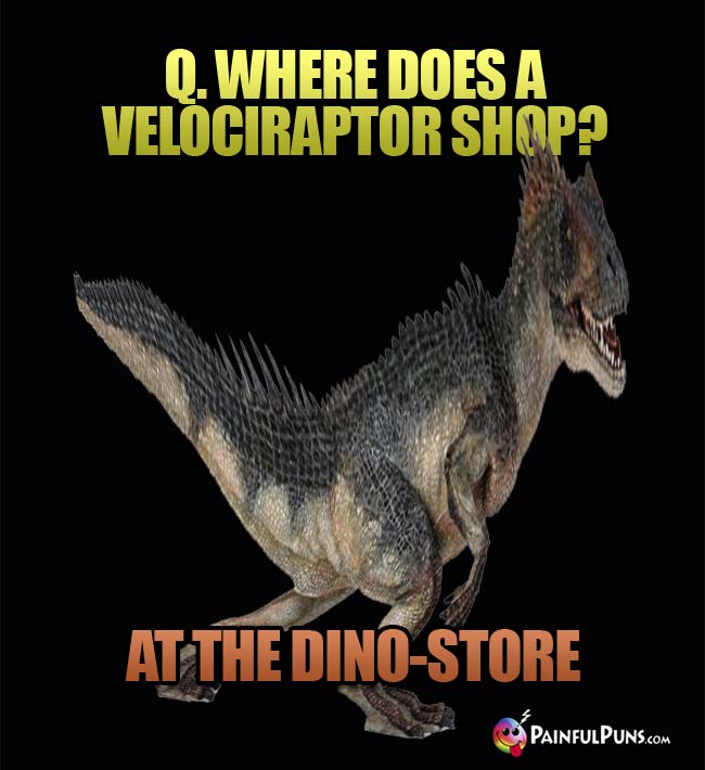 Q. Where does a Velociraptor shop? A. At the dino-store.