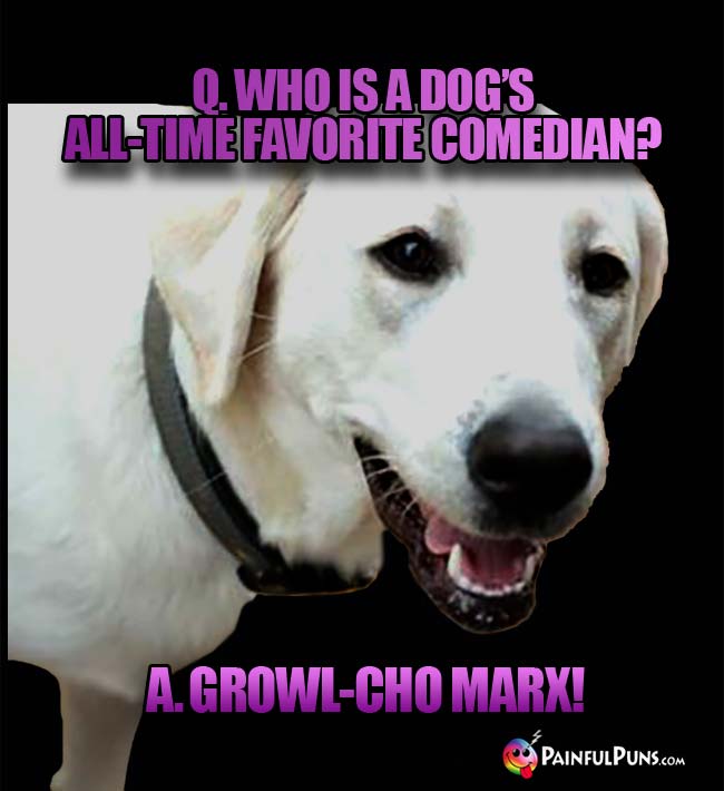 Q. Who is a dog's al-time favorite comedian? a. Growl-Cho Max!.