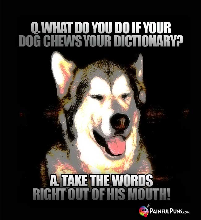 Q. What do you do if your dog chews your dictionary? A. Take the words right out of his mouth!