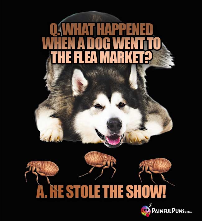 Q. What happened when a dog went to the flea market? a. He stole the show!