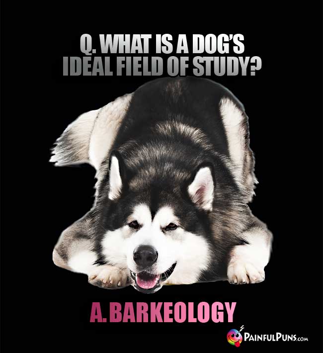 Q. What is a dog's ideal field of study? a. Barkeology.