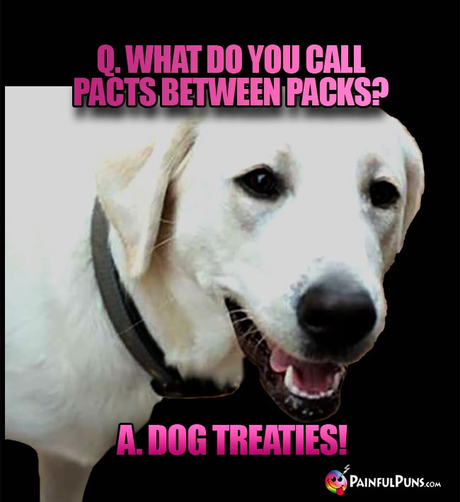 Q. What do you call pacts between packs? A. Dog Treaties!