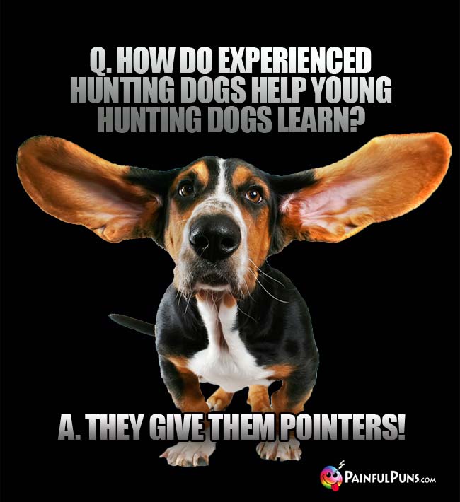 Q. How do experienced hunting dogs help young hunting dogs learn? A. they give them pointers!