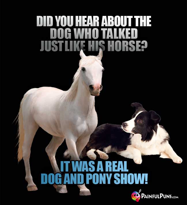 Did you hear about the dog who talked just like his horse? It was a real dog and pony show!
