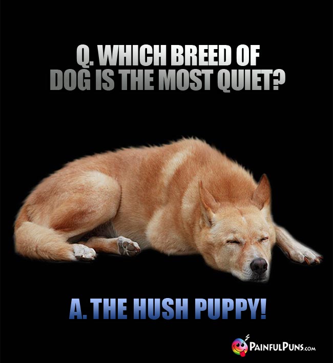 Q. which breed of dog is the most quiet? A. The Hush Puppy!