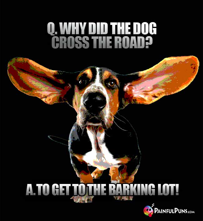 Q. Why did the dog cross the road? A. To get to the barking lot!