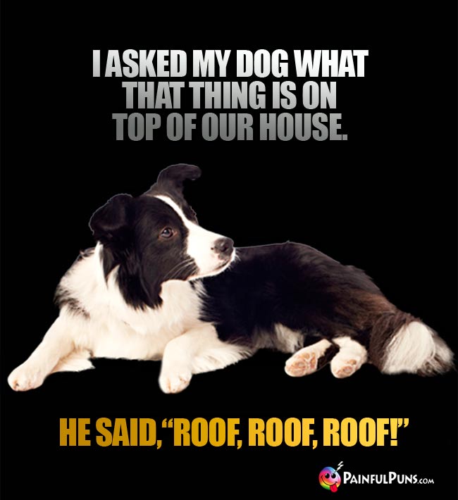 I asked my dog what that thing is on top of out house. He said, "Roof, Roof, Roof!"