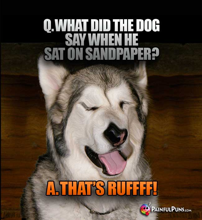 Q. What did the dog say when he sat on sandpaper? A. That's Rufff!
