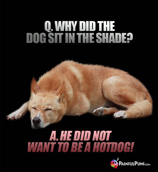 Q. Why did the dog sit in the shade? A. He did not want to be a hot dog!
