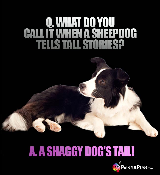 q. What do you call it when a sheepdog tells tall stories? A. A Shaggy Dog's Tail!