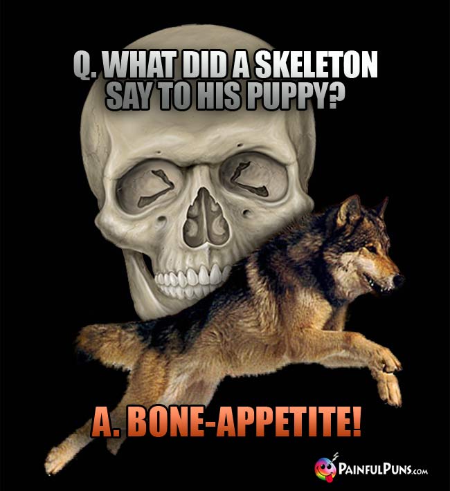 Q. what did a skeleton say to his puppy? A.  Bone-Appetite1