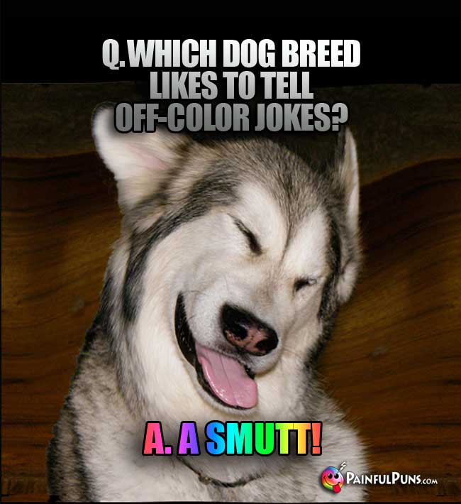 Q. Which dog breed likes to tell off-color jokes? A. A Smutt!