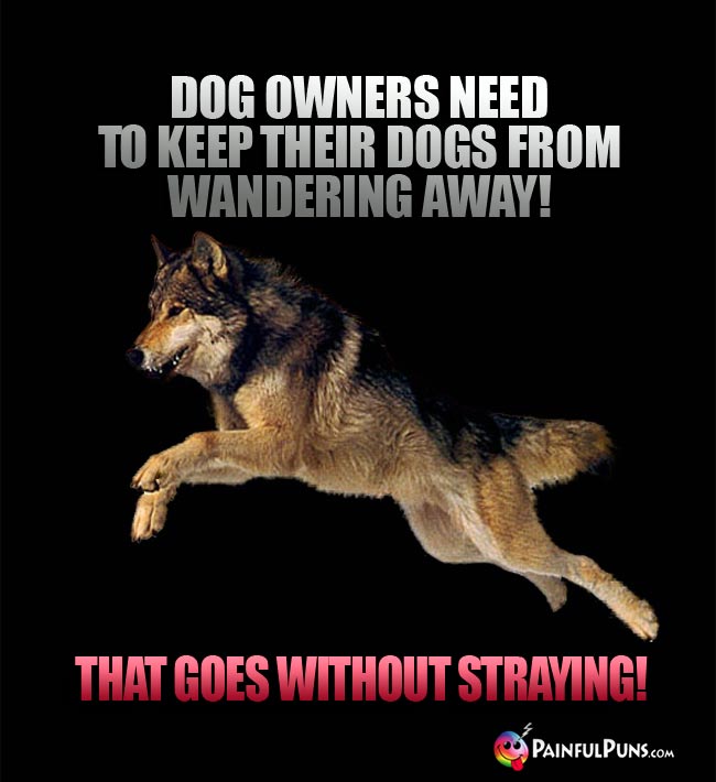 Do owners need to keep their dogs from wandering away! That goes without straying!