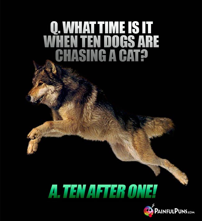 Q. what time is it when ten dogs are chasing a cat? a. Ten  After One!