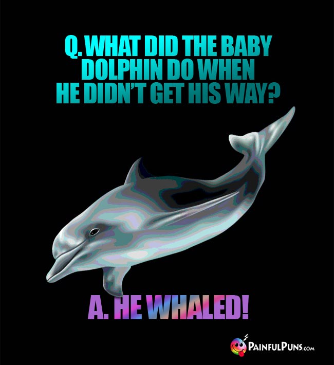 Q. What did the baby dophin do when he didn't get his way? A. He whaled!