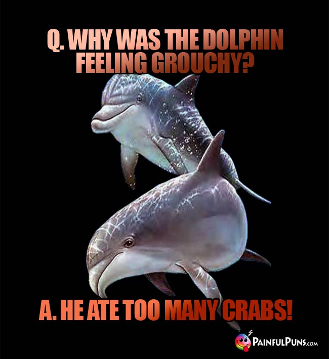 Q. Why was the dolphin feeling grouchy? A. He ate too many crabs!