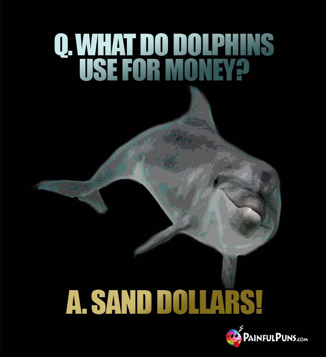 Q. What do dolphins use for money? A. Sand dollars!