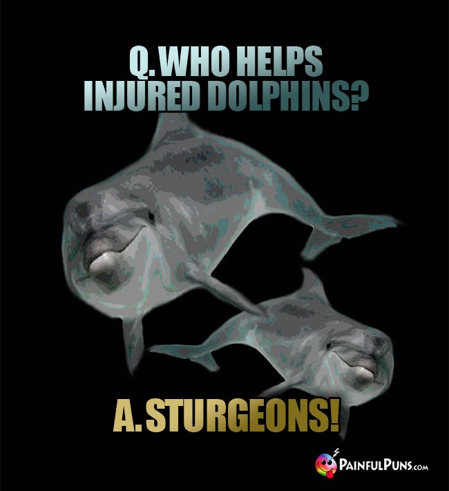 Q. Who helps injured dolphins? A. Sturgeons!