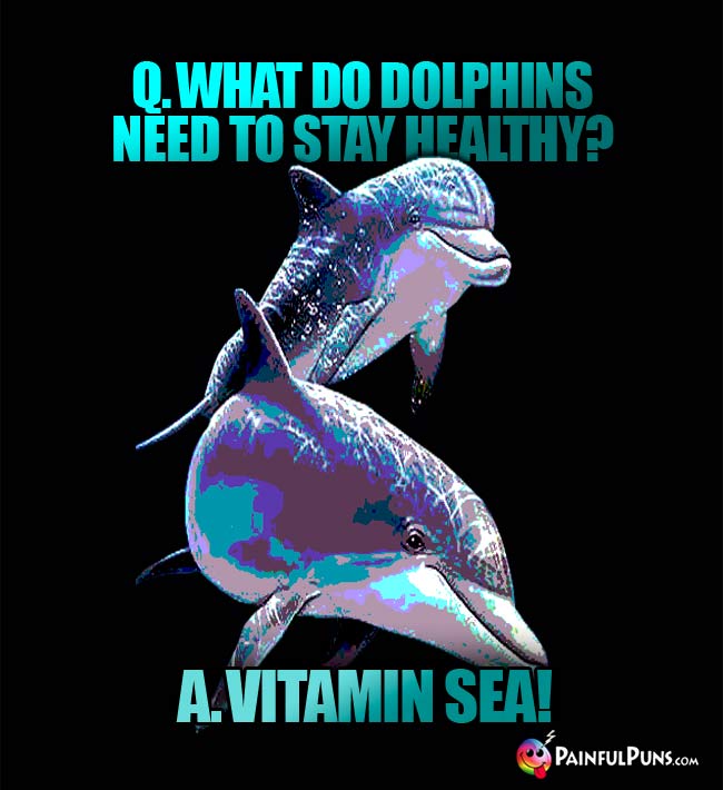 Q. What do dolphins need to stay healthy? A. Vitamin Sea!