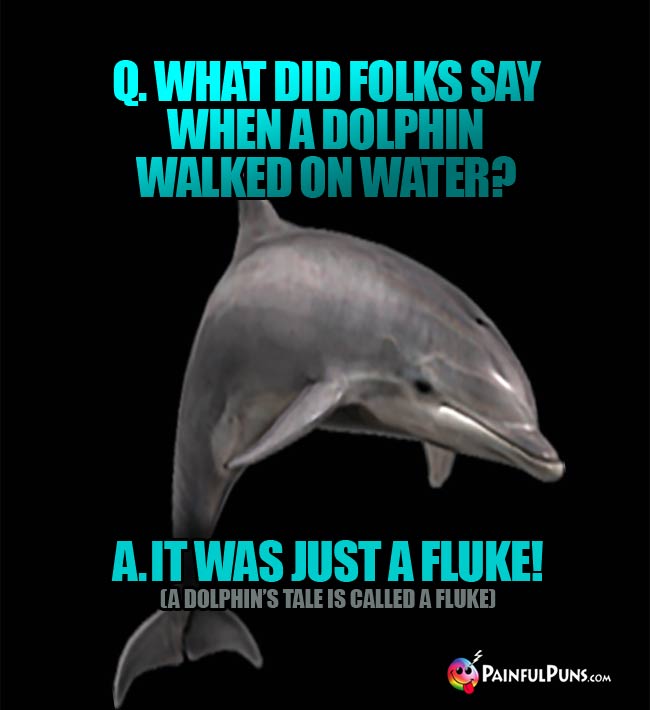 Q. What did folks say when a dolphin walked on water? A. It was just a fluke! (A dolphin's til is called a fluke.)