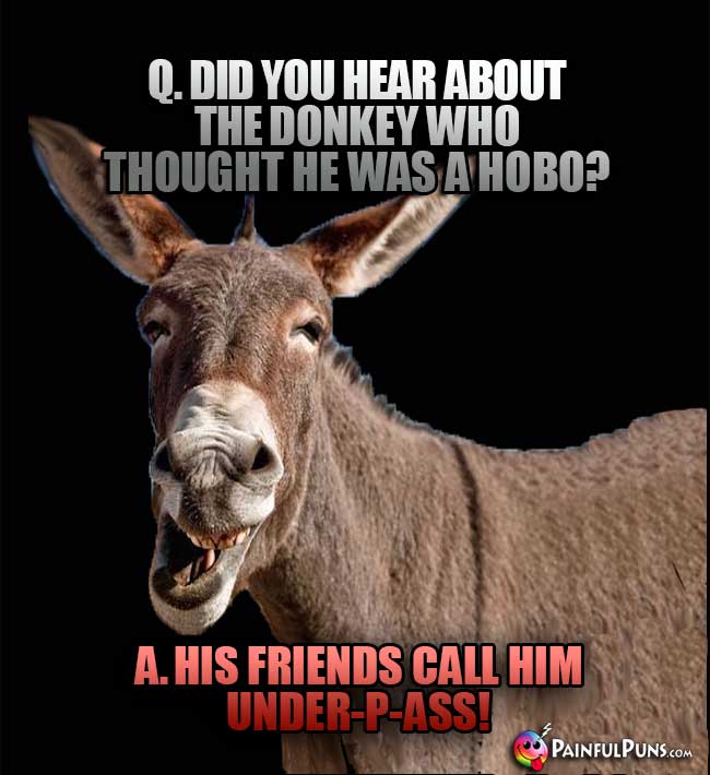 Q. Did you hear about the donkey who thought he was a hobo? A. His friends call him Under-p-ass!