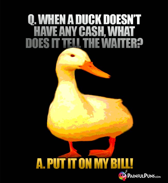 Q. When a duck doesn't have any cash, what does it tell the waiter? a. Put it on my bill!