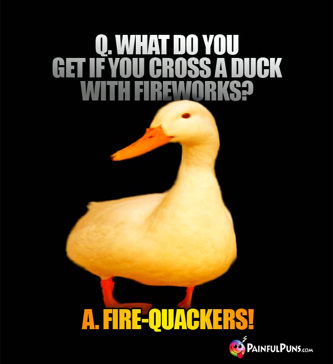 Q. What do you get if you cross a duck with fireworks? A. Fire-quackers!