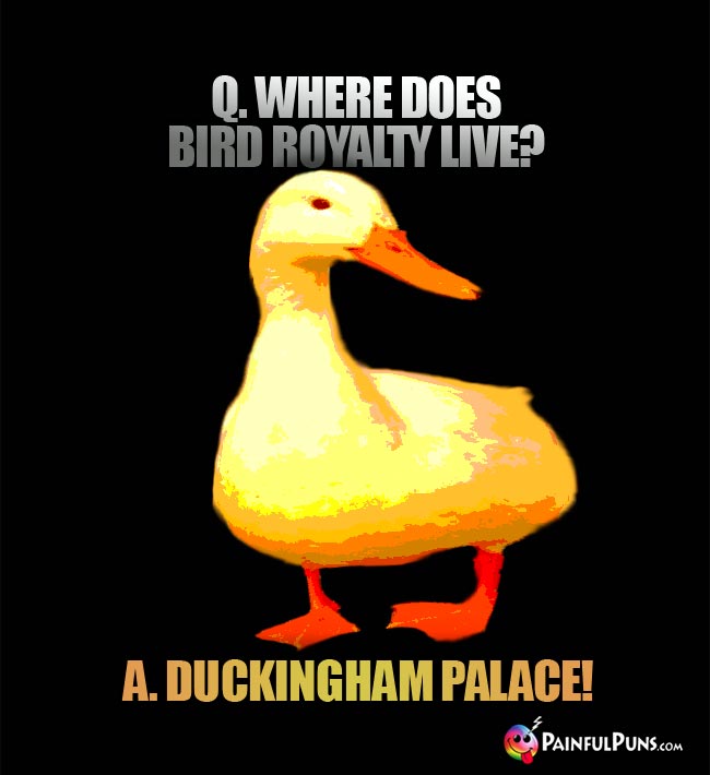 Q. Where does bird royalty live? A. Duckingham Palace!