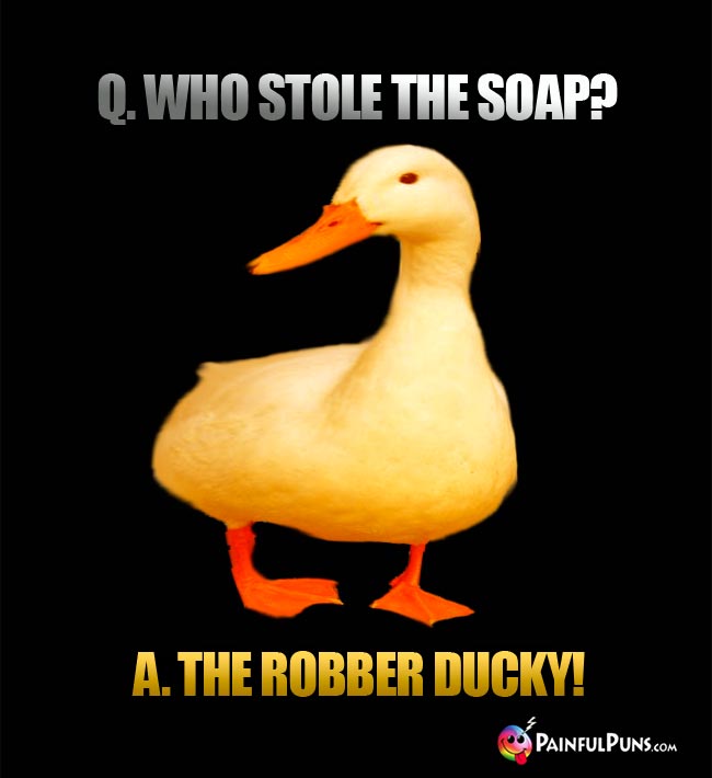 q. Who stole the soap? A. The robber ducky!