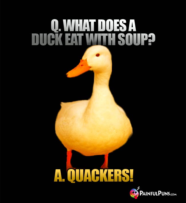 Q. What does a duck eat with soup? a. Quackers!