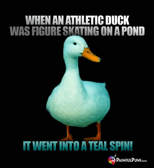 when an athletic duck was figure skating on a pnd, it went into a teal spin!