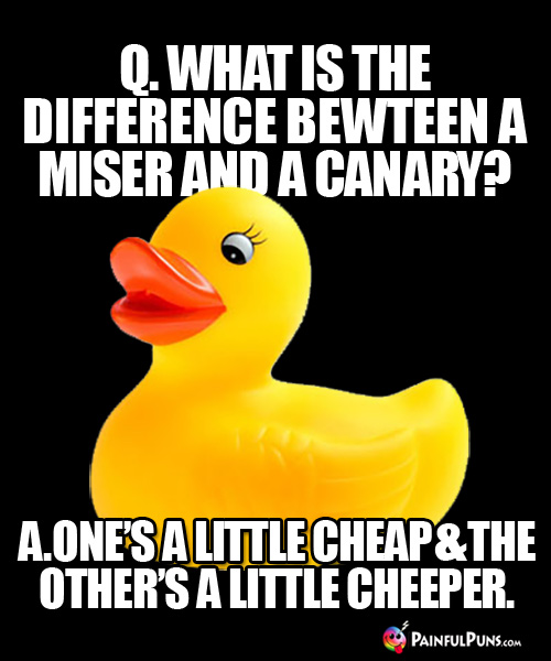 Q. What is the difference between a miser and a canary? A. One's a little cheap & the other's a little cheeper.