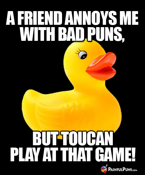 A friend annoys me with bad puns, but toucan play at that game!