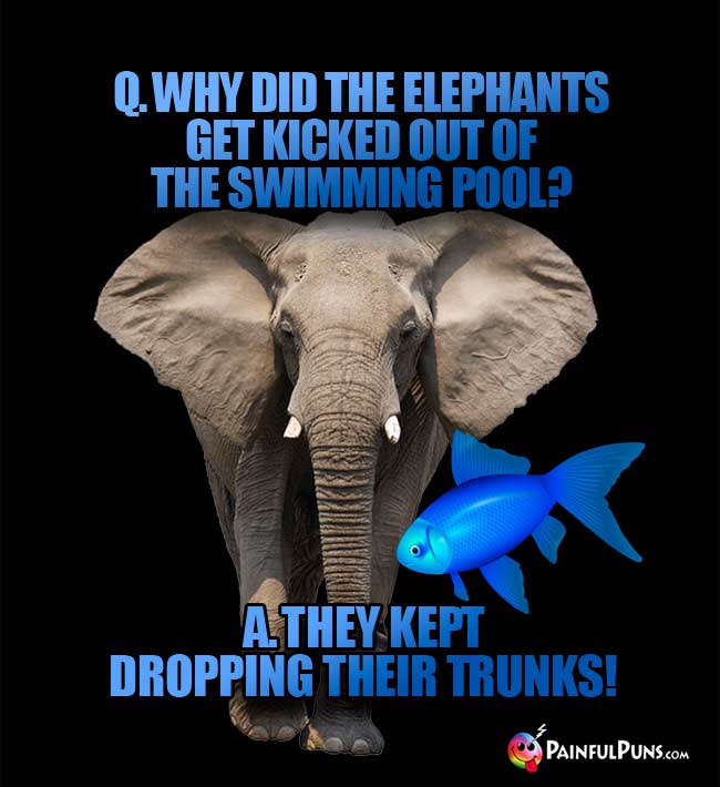 Q Why did the elephants get kicked out of the swimming pool? A They kept dropping their trunks!