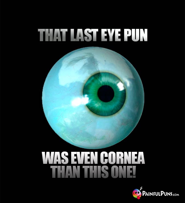 The last eye pun was even cornea than this one!