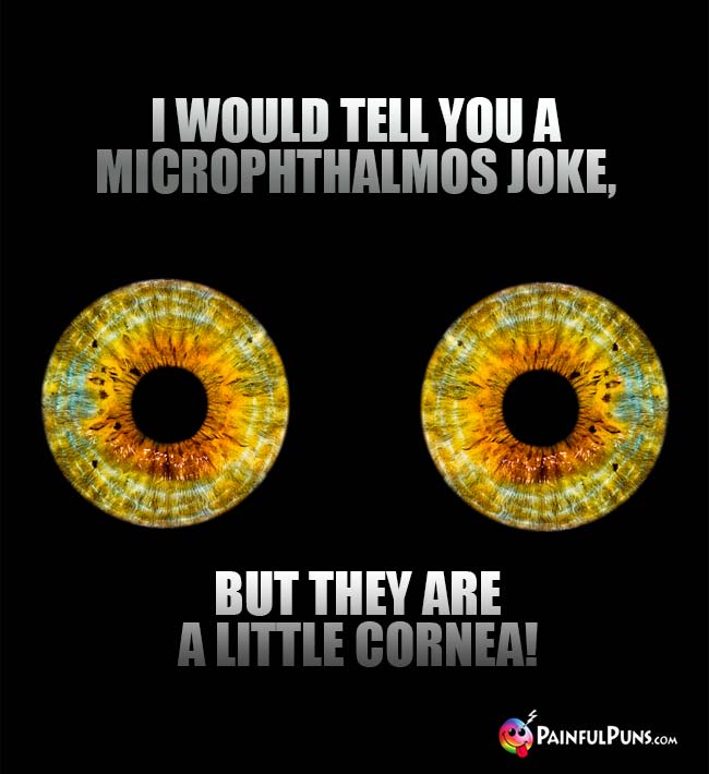 I would tell you a Microphthalmos joke, but they are a little cornea!