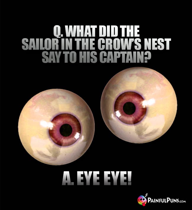 Q. What did the sailor in the crow's nest say to his captain? A. Eye Eye!