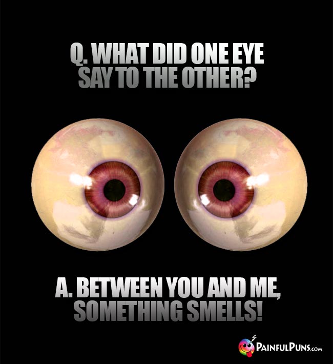 Q. What did one eye say to the other? A. Between you and me, something smells!