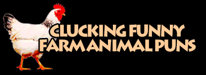 Clucking Funny Farm Animal Puns